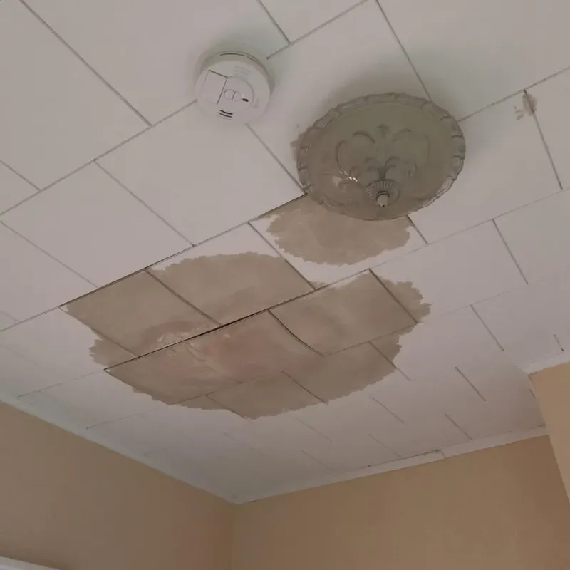 Ceiling Water Damage Repair in Groesbeck, TX