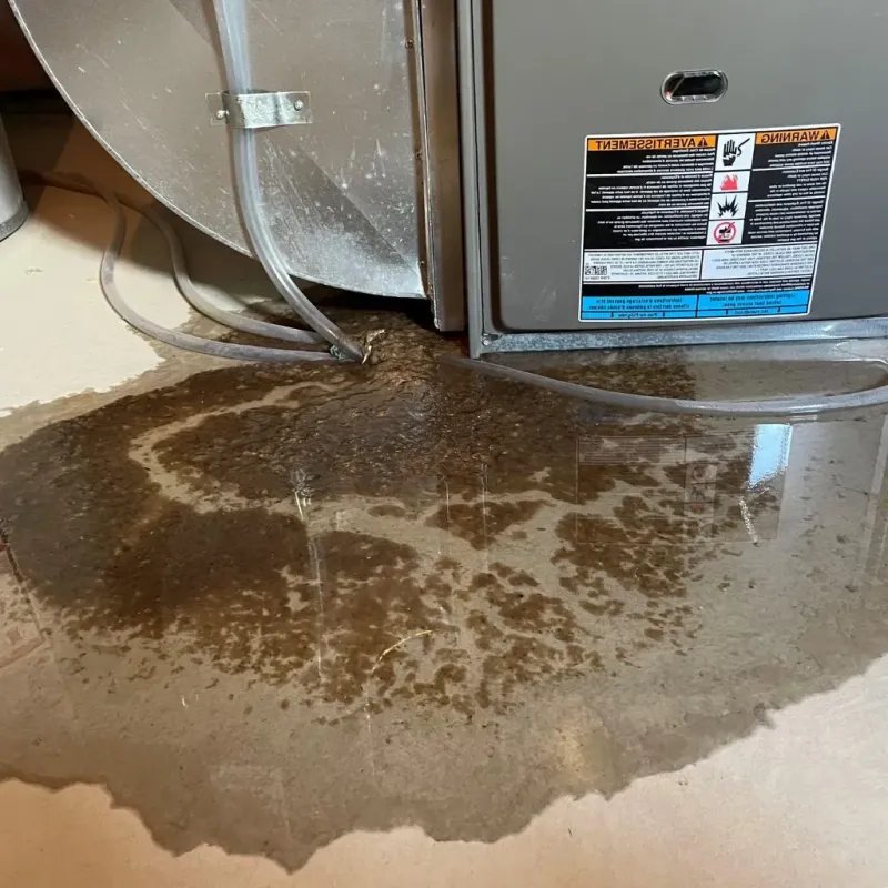 Pipe Burst and Leak Restoration in Groesbeck, TX