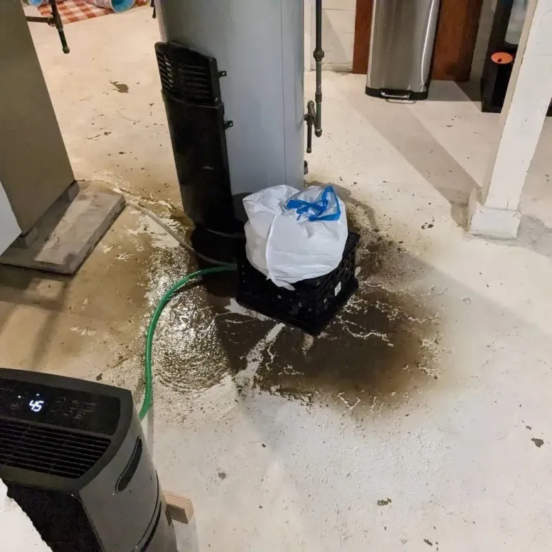 Sewage Backup Cleanup Service in Groesbeck, TX